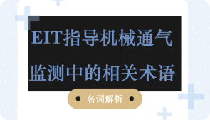 EIT指导机械通气监测中的相关术语