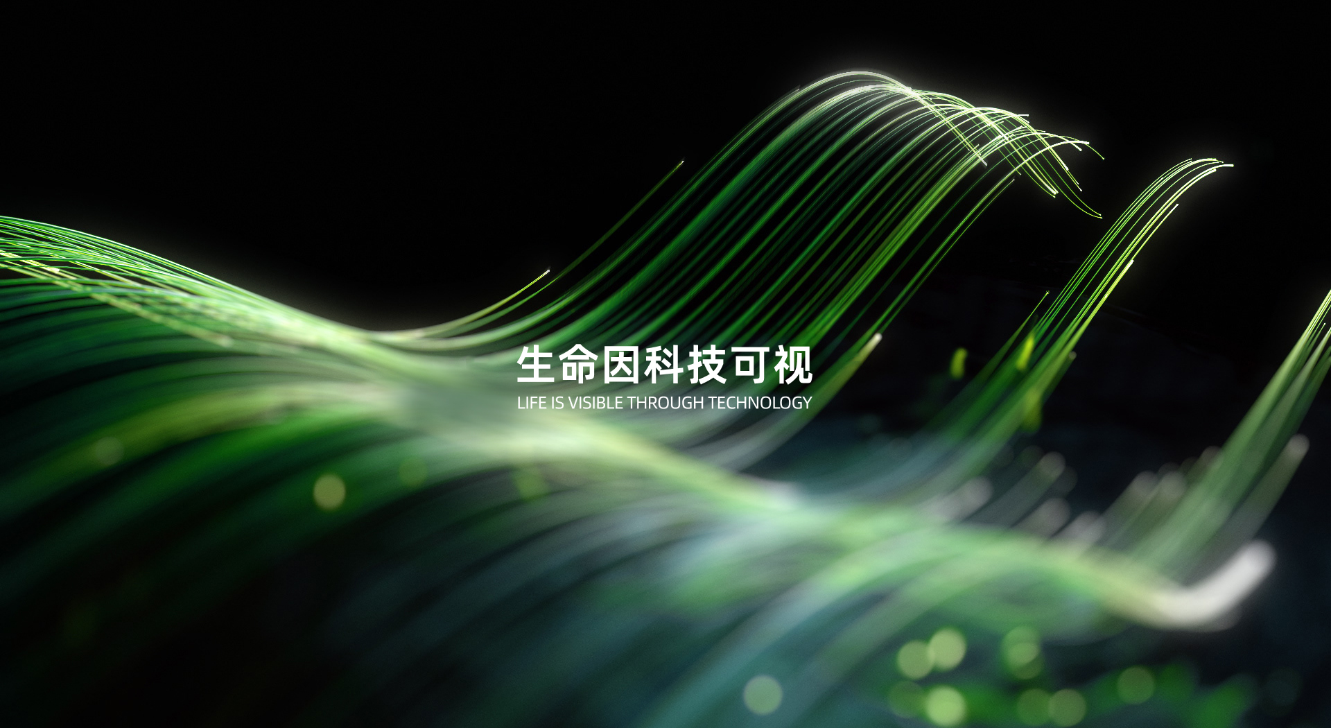 生命因科技可视